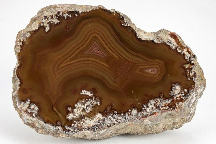 Colorful, Polished Condor Agate - Argentina #209601